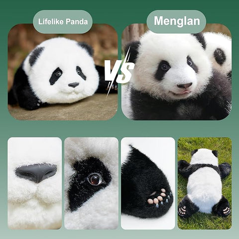 Weighted Panda Stuffed Animals, Panda Plush for Companion “5 Month MENG LAN”, Handmade Realistic Giant Panda Plush 5.5 LBS, 14" Lifelike Animals